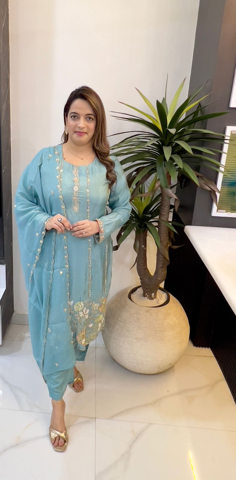 Organza Shimmer Suit Set with Hand Embroidery