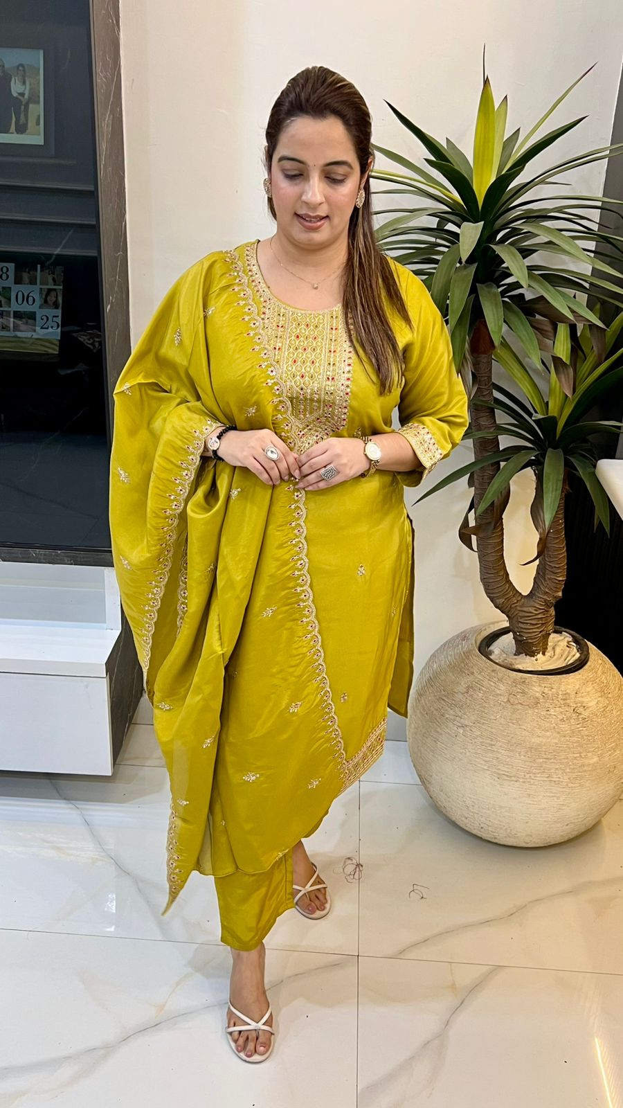 Organza Shimmer Suit – Elegant Festive Ensemble