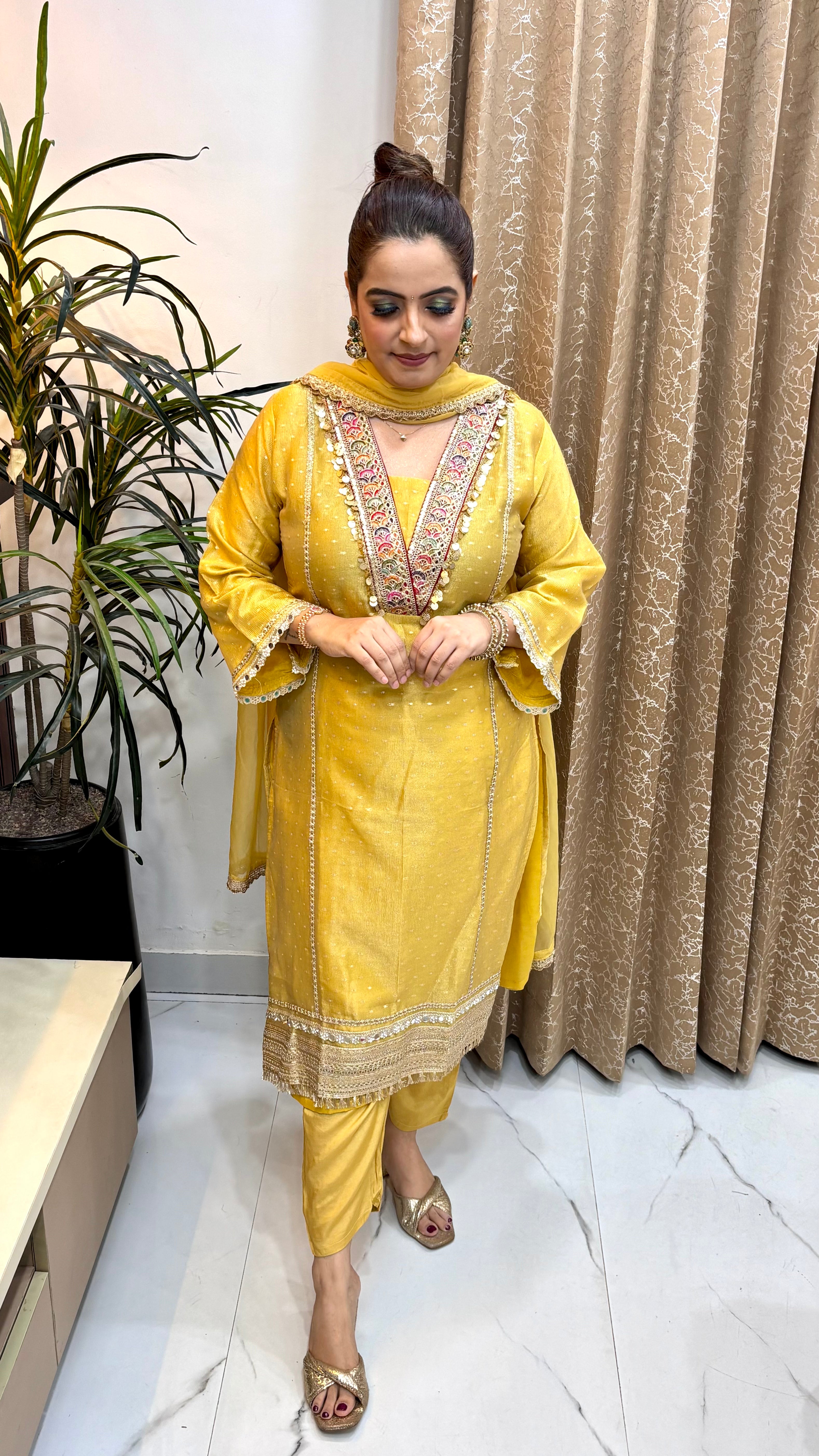 The Organza Shimmer Banarasi & Hand Phulkari Suit Set