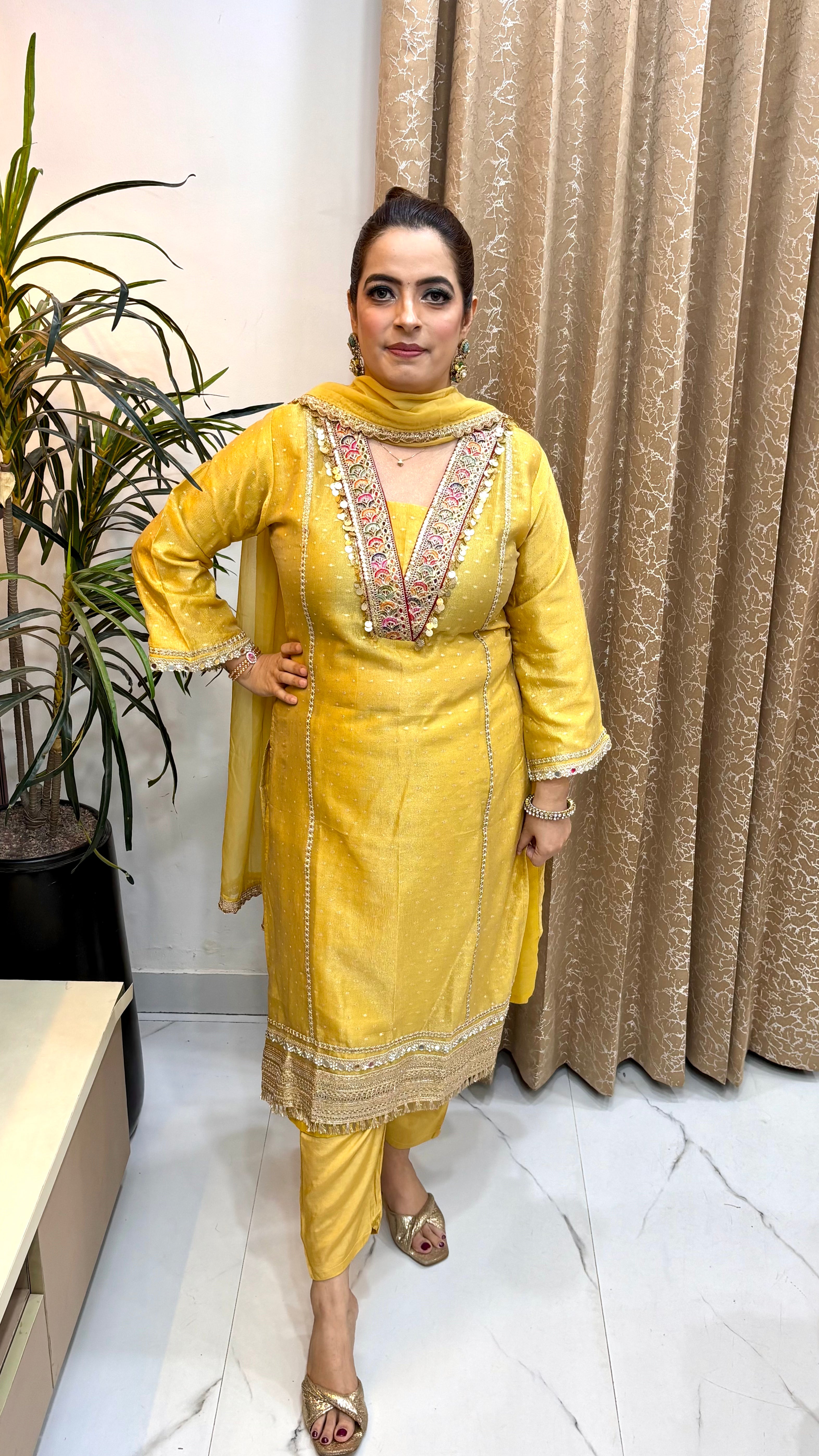 The Organza Shimmer Banarasi & Hand Phulkari Suit Set
