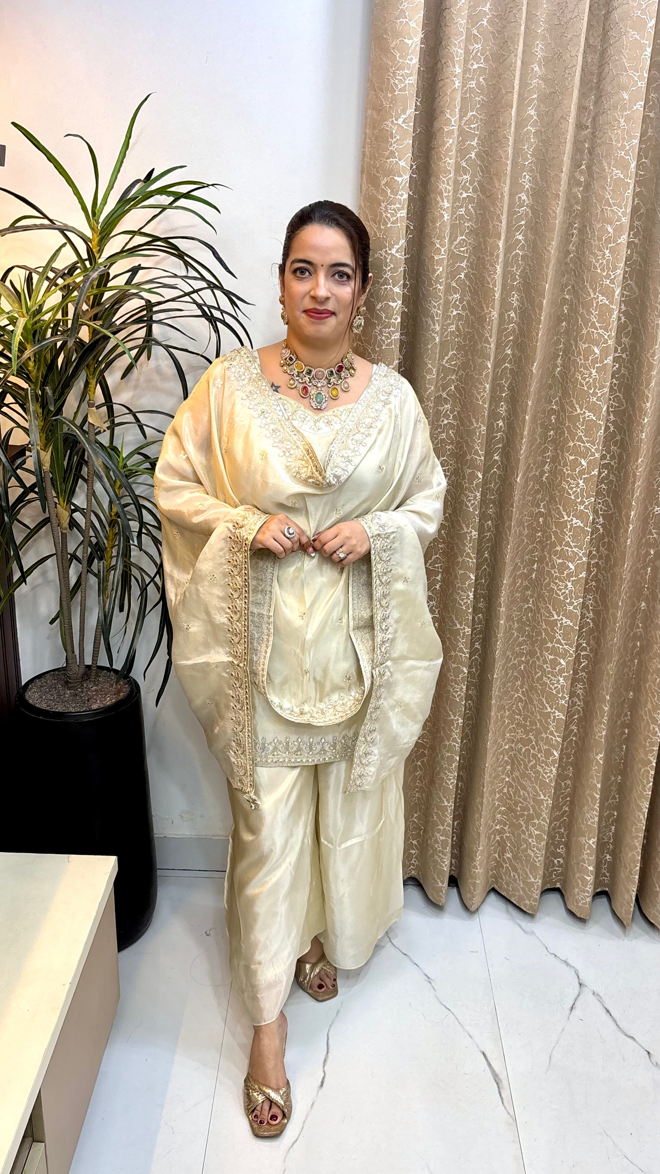 The Organza Shimmer Spaghetti-Style Suit with Gota Work & Divider