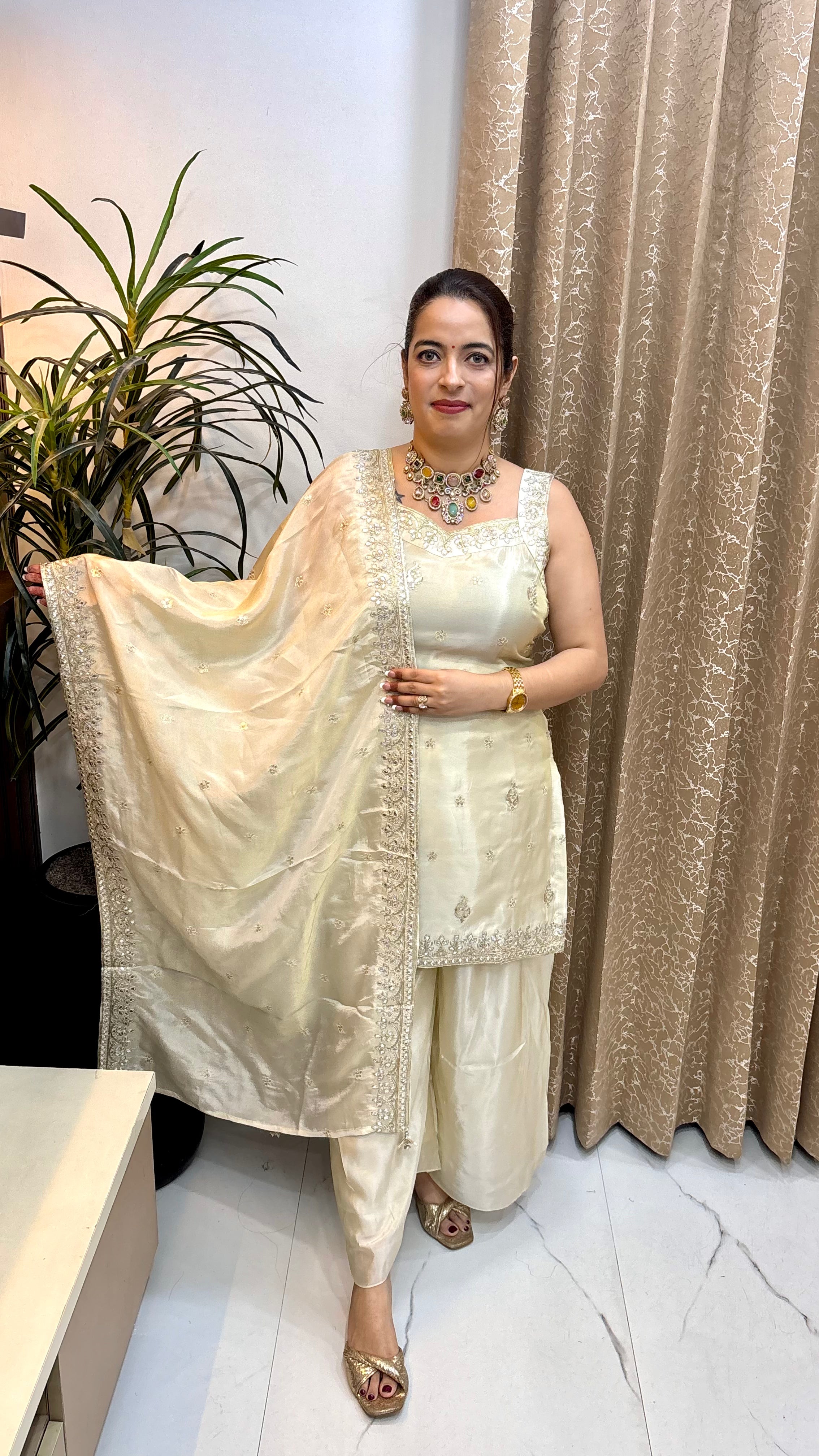 The Organza Shimmer Spaghetti-Style Suit with Gota Work & Divider