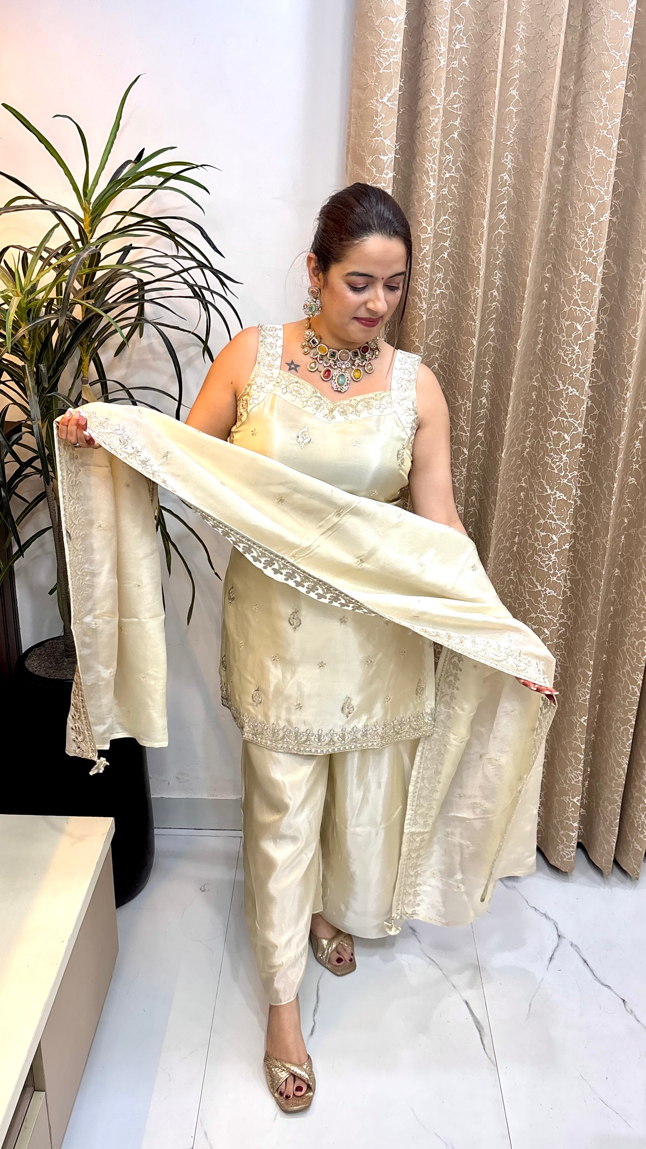 The Organza Shimmer Spaghetti-Style Suit with Gota Work & Divider