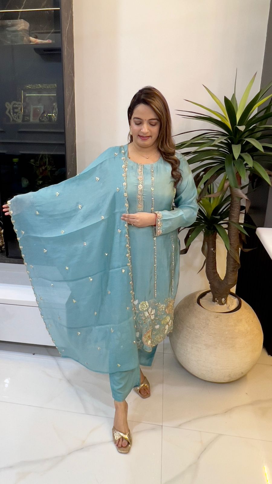 Organza Shimmer Suit Set with Hand Embroidery